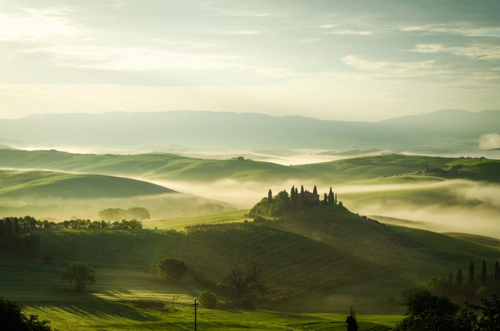 Italian Wine Tasting